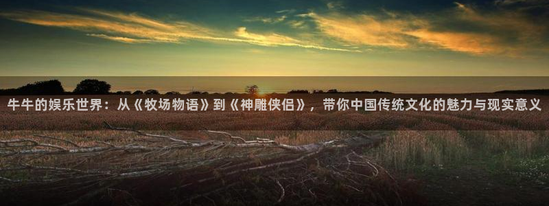 可可影视官网正版