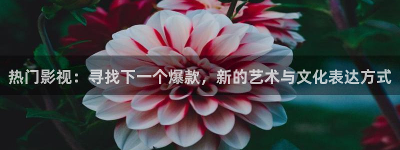 可可电影电影电视剧免费观看